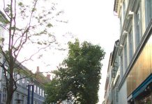 Forkæl din partner med blomster i Odense