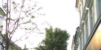 Forkæl din partner med blomster i Odense