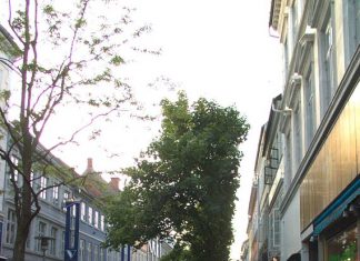 Forkæl din partner med blomster i Odense