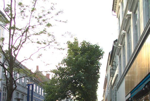 Forkæl din partner med blomster i Odense