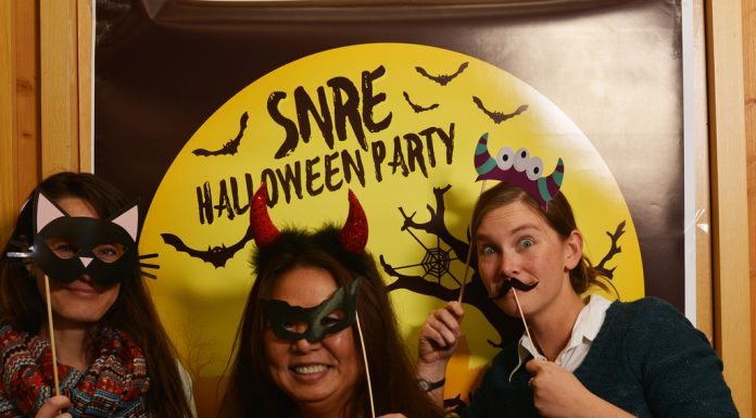 Det rigtige halloween pynt kan gøre DIN næste Halloween meget sjovere