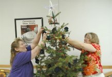 Få det helt rigtige juletræ med hjem