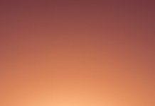 Leder du efter fede og billige sportspræmier?