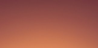 Leder du efter fede og billige sportspræmier?