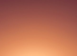 Leder du efter fede og billige sportspræmier?